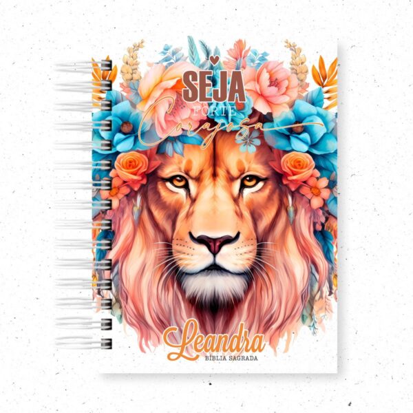 10 Capas Bíblias - Png - Imagem 4