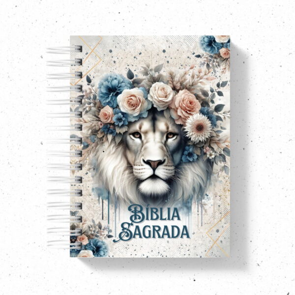 20 Capas Bíblias - Png - Arquivo Digital - Imagem 2