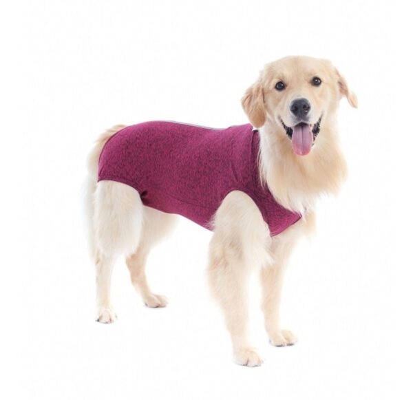 55 Moldes Confecção Roupas Pet Gato E Cachorro Modelagem Pdf
