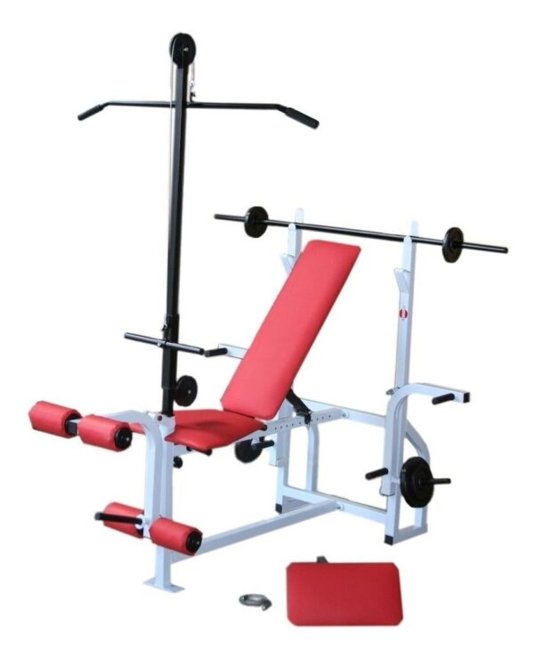 95 Projetos Construção Equipamentos Academia Musculação