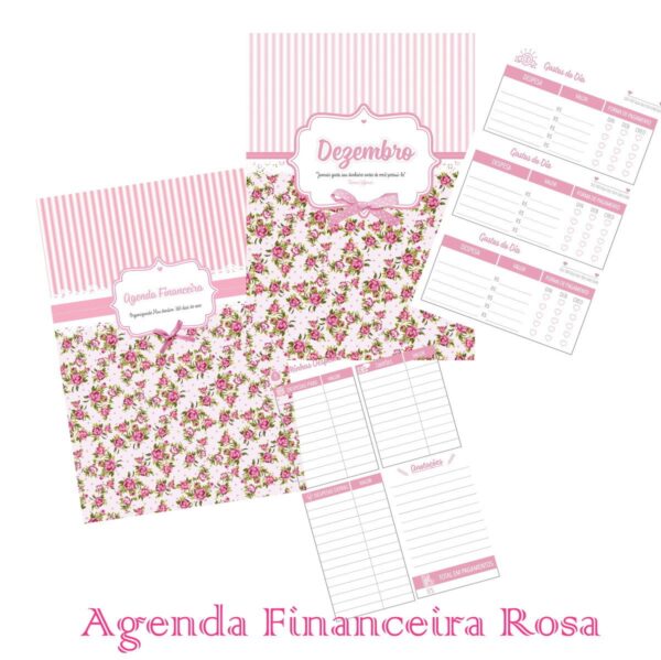 agenda financeira rosa planner financeiro