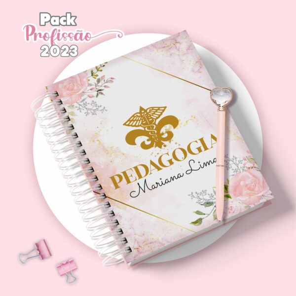 Agenda Pedagogia Feminina - Arquivo Digital - Imagem 2