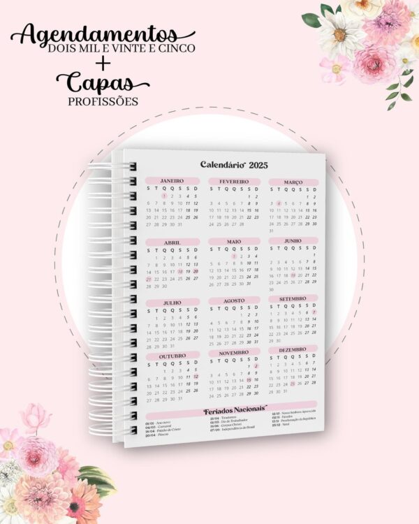Agendamentos e Capas Profissões 2025 - Arquivo Digital - Imagem 2