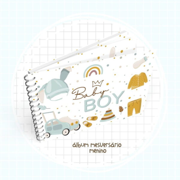 album mesversario menino arquivo digital registro de informacoes do bebe
