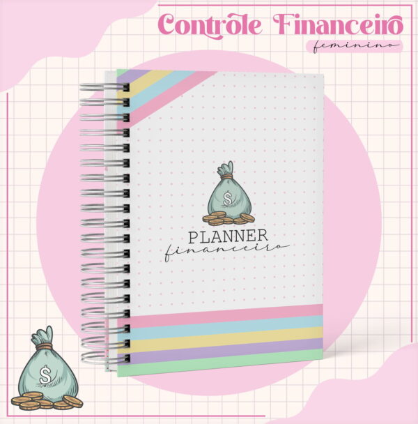 arquivo digital planner financeiro feminino organizador financeiro pessoal