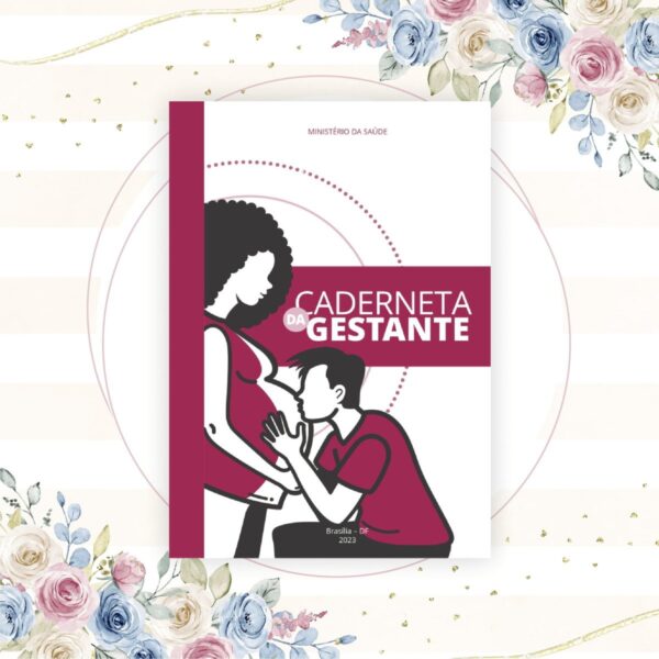 Caderneta da Gestante Sus - Arquivo Digital - Imagem 3