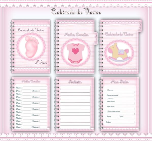 caderneta de vacina baby menina arquivo digital maternidade