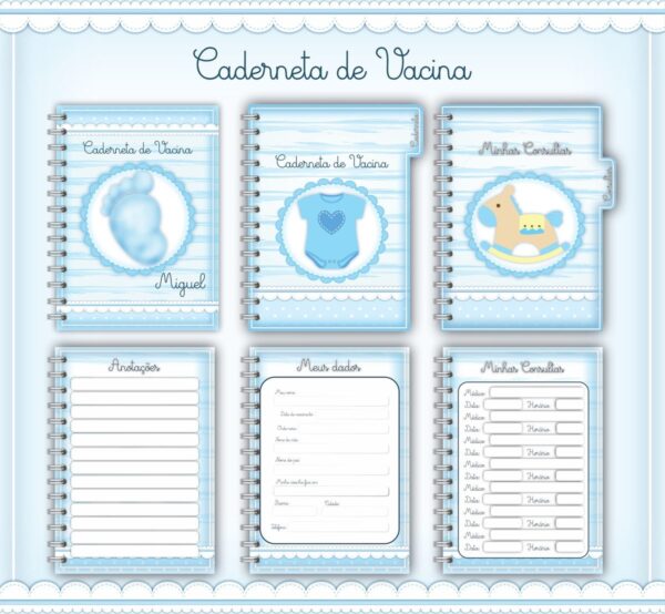 caderneta de vacina baby menino arquivo digital maternidade