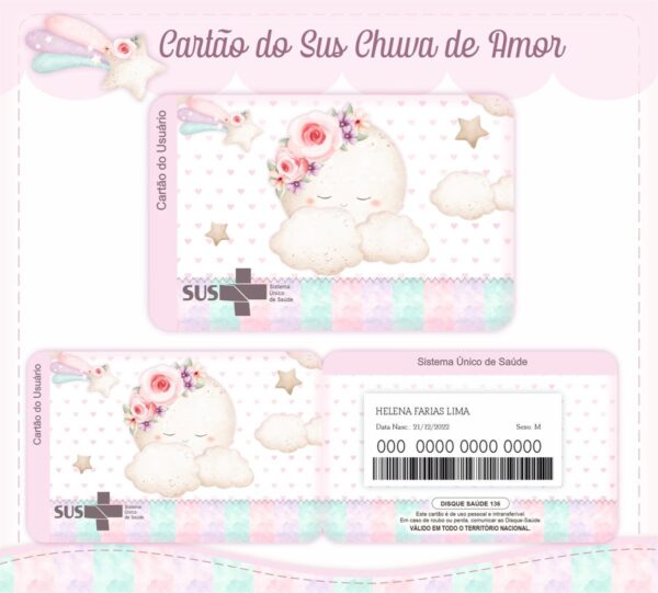 Livro e Caderneta Chuva de Amor Rosinha - Arquivo Digital - Imagem 4
