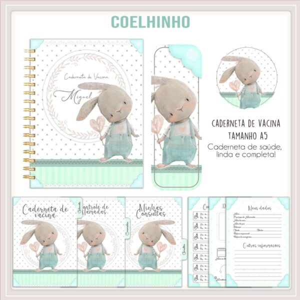 caderneta de vacina coelhinho menino arquivo digital caderneta de saude bebe