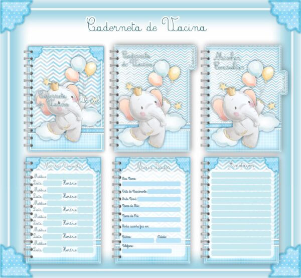 caderneta de vacina elefantinho menino arquivo digital registros