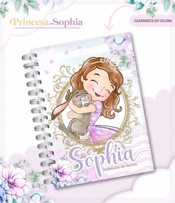caderneta de vacina princesinha sophia arquivo digital caderneta de saude