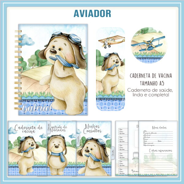caderneta de vacina urso aviador arquivo digital arte digital