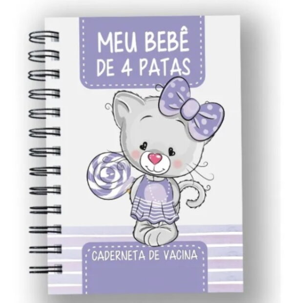 caderneta vacina e registros momentos cat femea 3