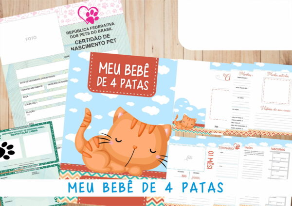 Caderneta Vacina e Registros Momentos - Cat Macho 2 - Imagem 2