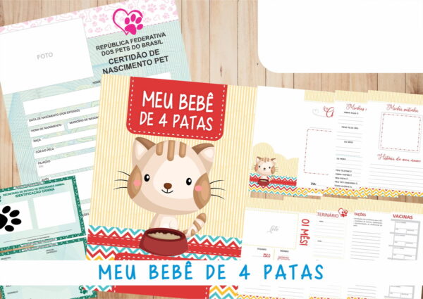 Caderneta Vacina e Registros Momentos - Cat Macho 3 - Imagem 2