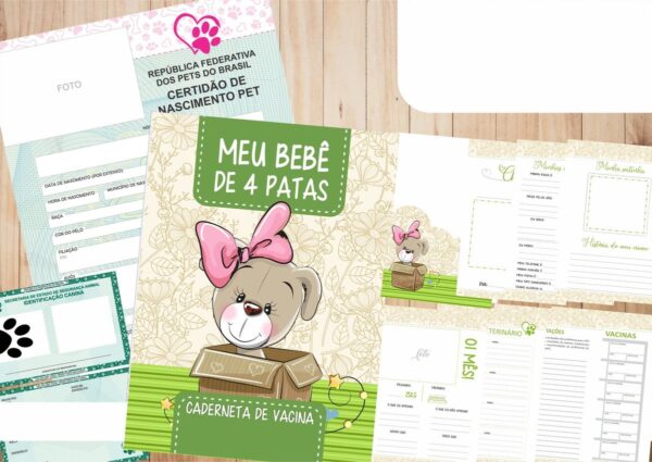 caderneta vacina e registros momentos dog femea 4 acompanhamento pet