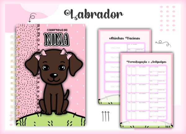 caderneta vacina labrador arquivo digital papel e cia