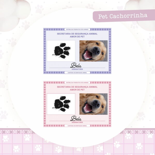 Caderneta Vacina Pet Cachorrinha - Arquivo Digital - Imagem 2