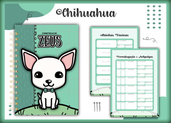 caderneta vacina pet chihuahua macho arquivo digital papelaria