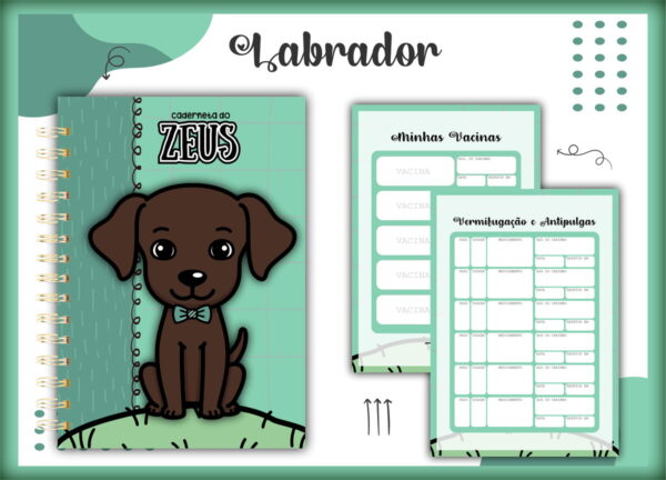 caderneta vacina pet labrador macho arquivo digital caderneta vacina pet