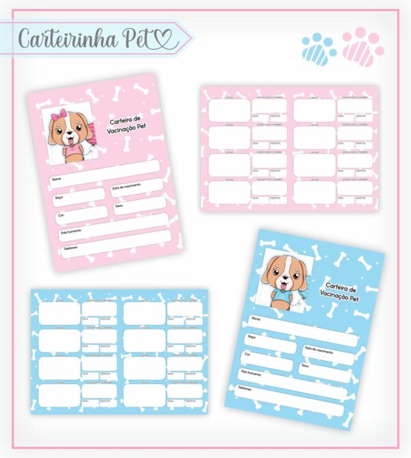 carteirinha vacinacao pets arquivo digital vacina animais