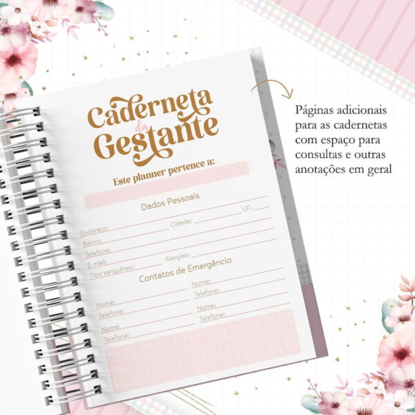 Coleção Gestantes - Arquivo Digital - Imagem 3