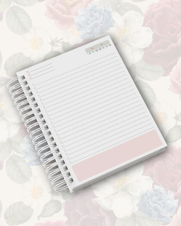 Combo Agendas Leoa - Arquivo Digital - Imagem 4