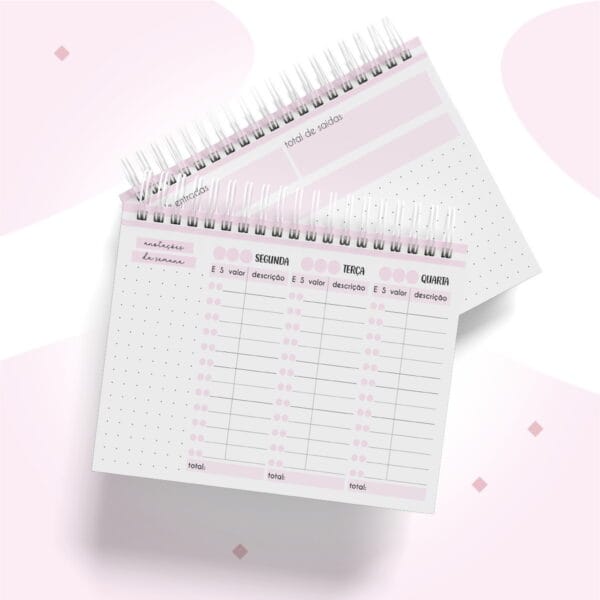 Controle Financeiro Semanal Feminino A6 - Arquivo Digital - Imagem 3