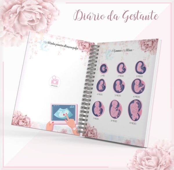 Diário Da Gestante - Arquivo Digital - Imagem 3
