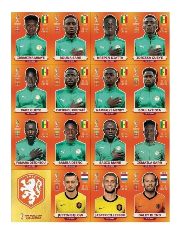 Figurinhas P Imprimir Copa Do Mundo 2022 Laranja Arquivo Pdf