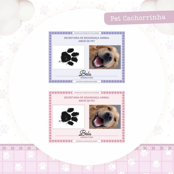 identidade pet cachorrinha arquivo digital encadernacao