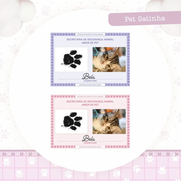 identidade pet gatinha arquivo digital rg gatinha