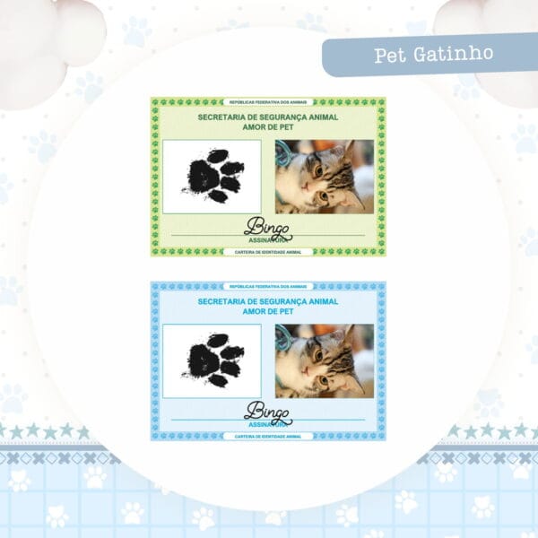 identidade pet gatinho arquivo digital personalizacao