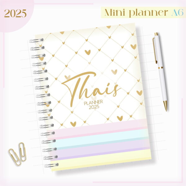 mini planner a6 2025 arquivo digital agendas femininas
