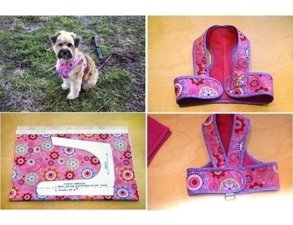 Modelagem Roupas Cachorro E Gato 55 Moldes + Cirúrgicos