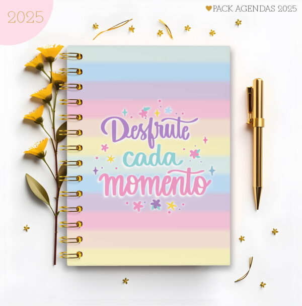 pack agendas feminina 2025 arquivo digital pack agendas femininas