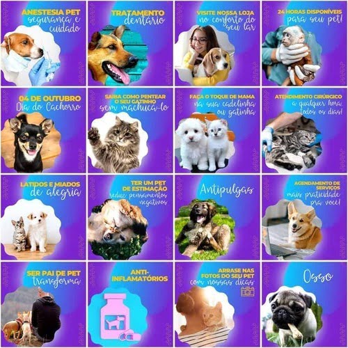 Pack Canva Pet Shop Templates Editavel 200 Artes + Legendas