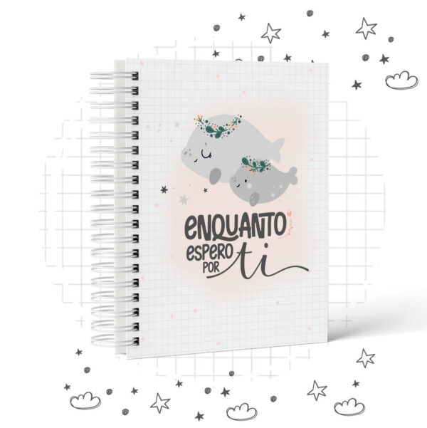Pack Diario De Gestante Enquanto Espero Por Ti 4