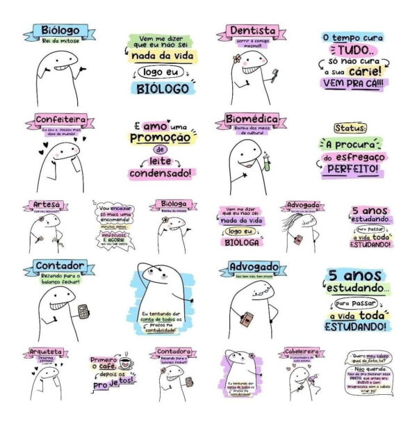 Pack Mais De 200 Artes Flork Profissões Meme Sublimação