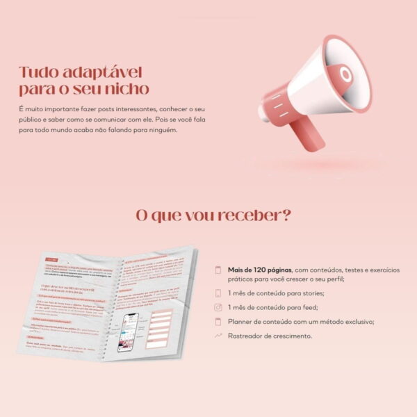 Planner Conteúdo Perfeito Lívia Brasil Arquivo Digital Pdf