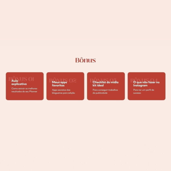 Planner Conteúdo Perfeito Lívia Brasil Arquivo Digital Pdf