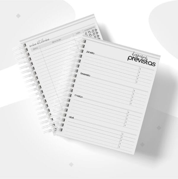 Planner Financeiro Empresas Masculino - Arquivo Digital - Imagem 4