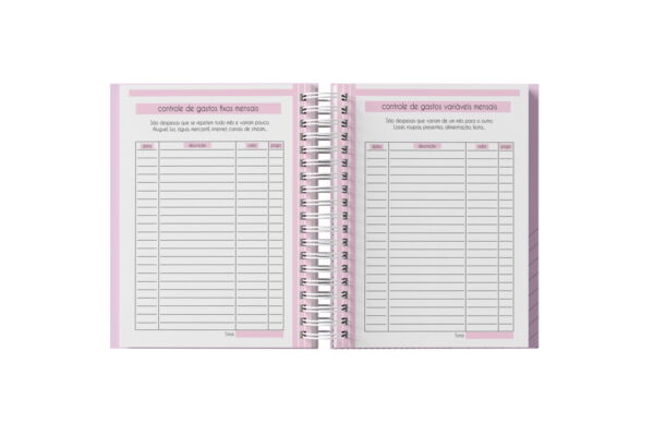 Planner Financeiro Feminino 2025 - Arquivo Digital
