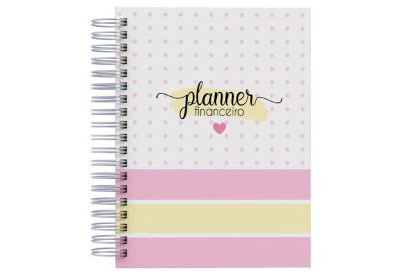 Planner Financeiro Feminino 2025 - Arquivo Digital - Imagem 3