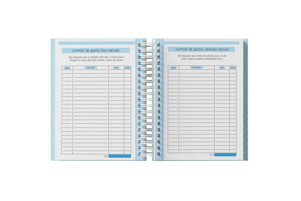 Planner Financeiro Feminino 2025 - Arquivo Digital - Imagem 5