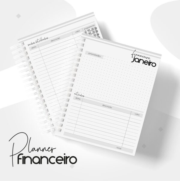 Planner Financeiro Pessoal Masculino - Arquivo Digital - Imagem 3