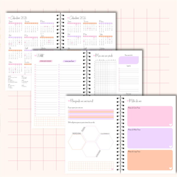 Planner Rose 2025 Feminino - Arquivo Digital - Imagem 5