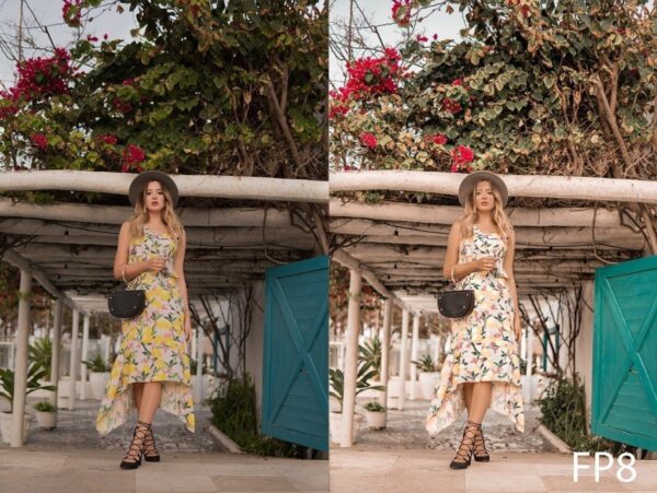 Presets Lightroom Lívia Brasil Pack Fashion Android iPhone